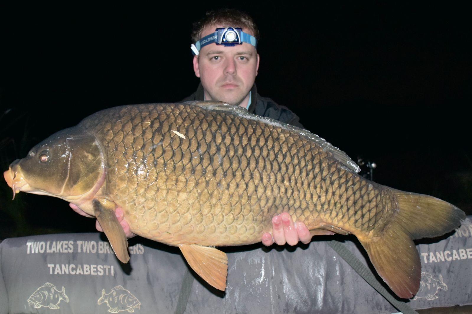 Tancabesti 11 - 13 mai. - 12 kg